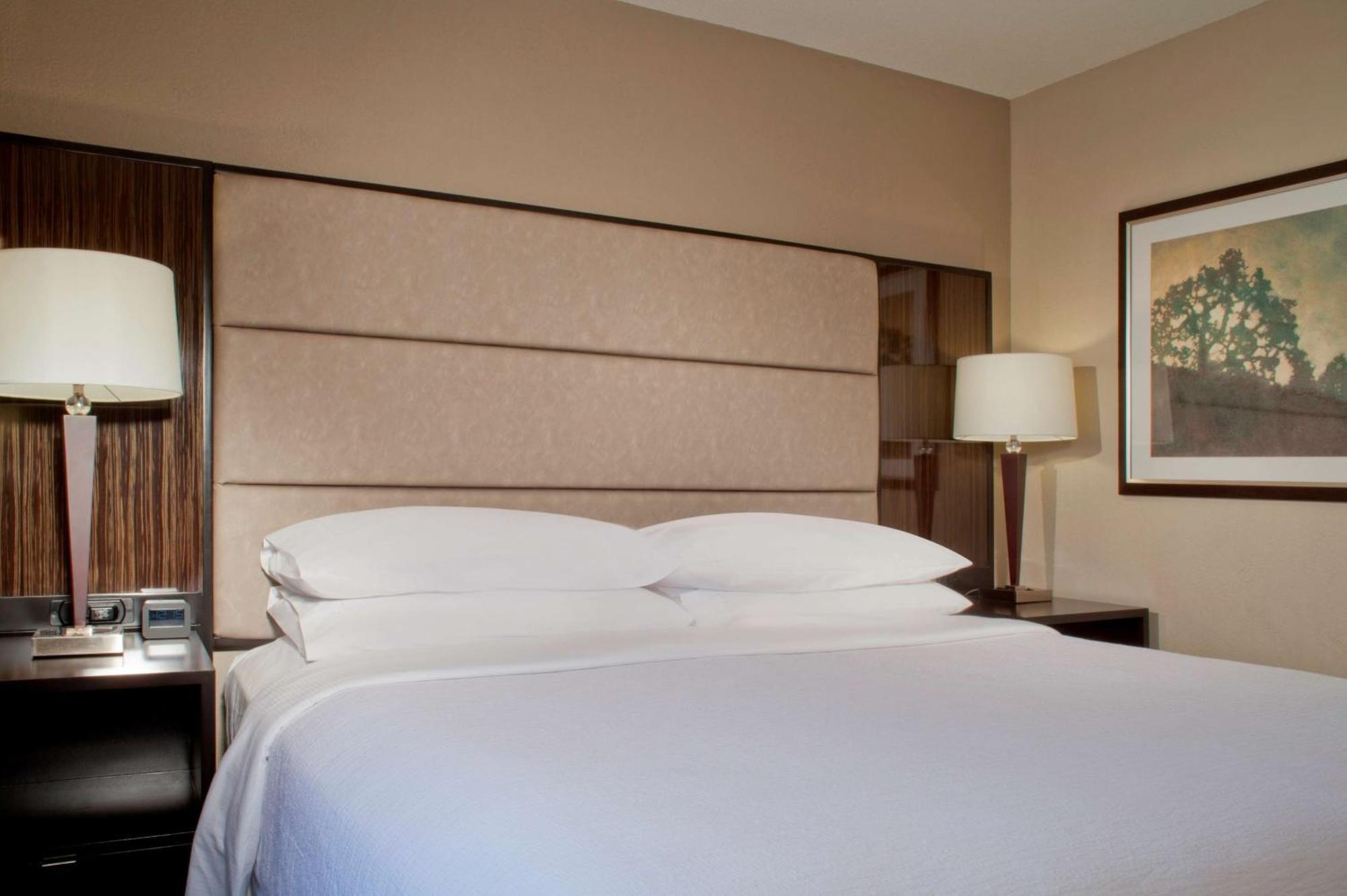 Embassy Suites By Hilton Houston Near The Galleria Zewnętrze zdjęcie